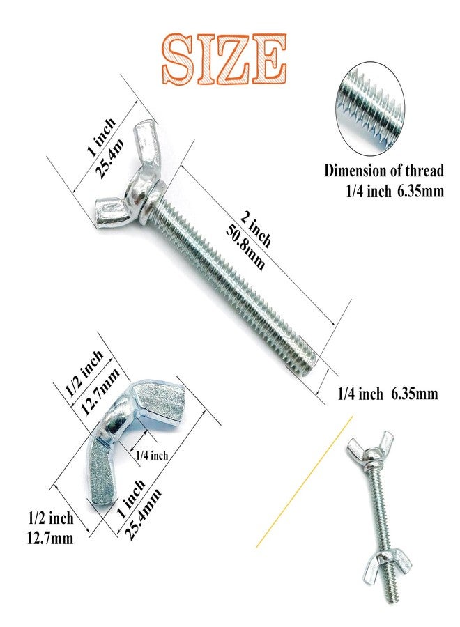 Matrelt 20 Pcs 1/4"-20 x2 Wing Screw Bolts and Wing Nut Kit Butterfly Screws and Nut with Hand Twist Tighten Wing Head Zinc Plated Hardware Fitting Fastenings Assortment Kit - Image 2